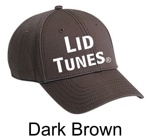 Lid Tunes Dark Brown Hat